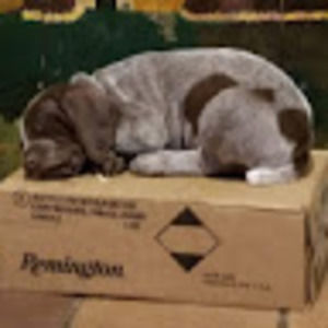 Meet your Posher, Jason